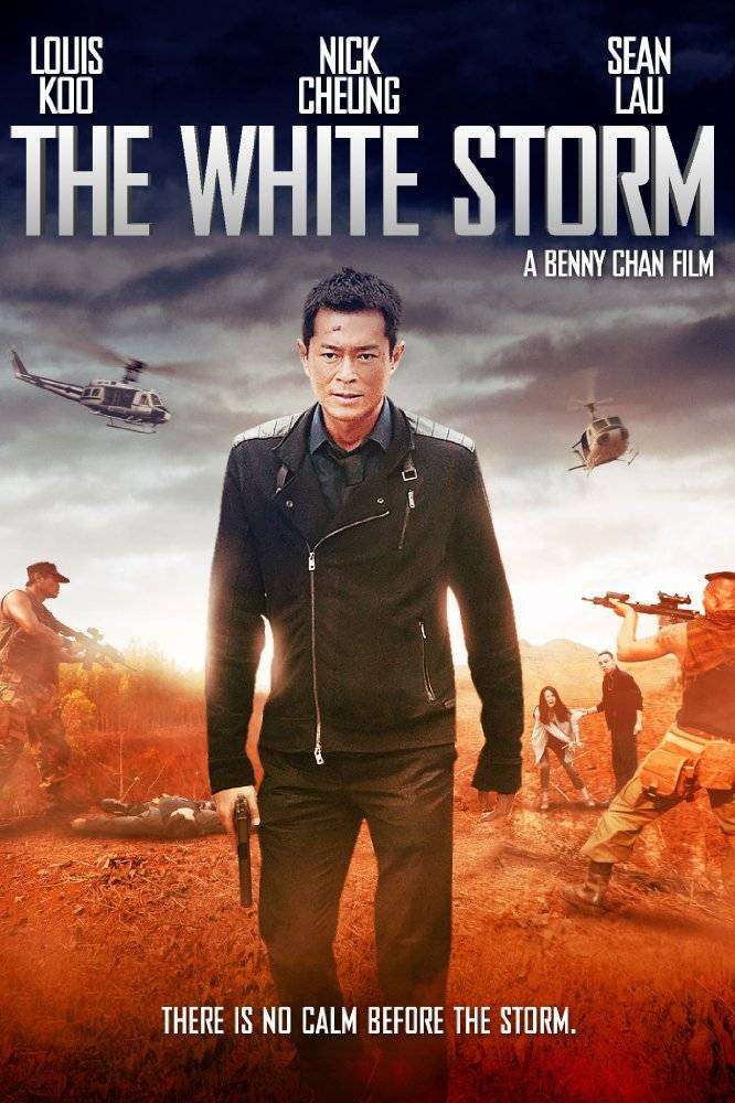مشاهدة فيلم The White Storm 2013 مترجم مشاهدة فيلم The White Storm 2013 مترجم
