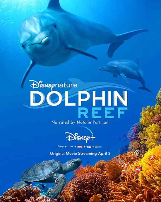 Dolphin Reef Dolphin Reef