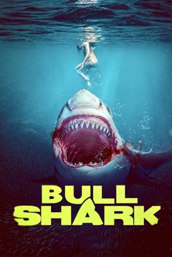 Bull Shark Bull Shark